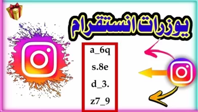 بوت تخمين يوزرات انستا