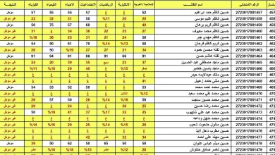 الدور الثالث.. لينك نتائج السادس الاعدادي الدور الثالث 2024 في العراق بعموم المحافظات