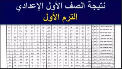 قريبا ترقبها.. رابط نتيجة الصف الأول الإعدادي الترم الأول 2025 في القاهرة والجيزة