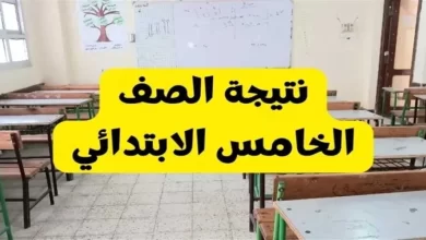 مبروك الفرحه.. رابط الاستعلام عن نتيجة الصف الخامس الابتدائي برقم الجلوس 2025
