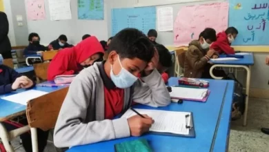 رابط الاستعلام عن نتيجة الصف السادس الابتدائي الترم الأول 2025 برقم الجلوس