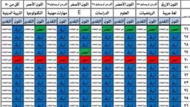 رابط مباشر.. نتيجة الصف الرابع والخامس والسادس الابتدائي الدور الأول 2025