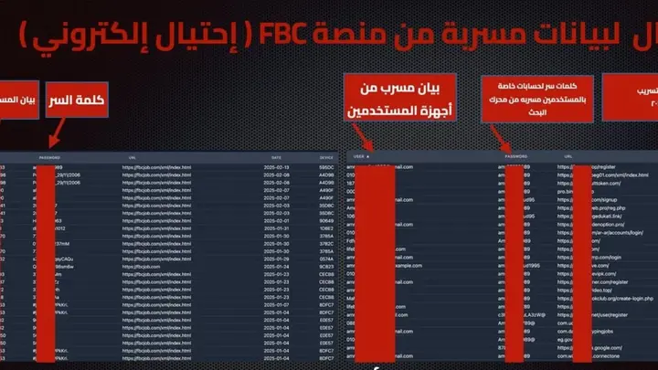 من هو المسؤول عن منصة FBC التي استولت على ملايين الجنيهات