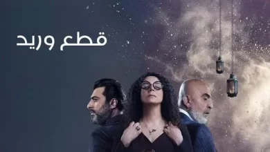 مسلسل قطع وريد الحلقة 23 الثالث والعشرون كاملة 2025 بدقة عالية
