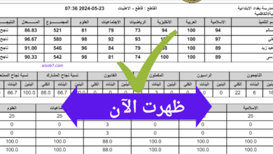 من هنا.. رابط نتائج السادس الابتدائي خارجي في العراق 2025 الدور الأول عبر موقع نتائجنا