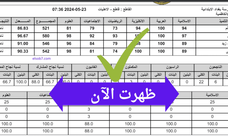 من هنا.. رابط نتائج السادس الابتدائي خارجي في العراق 2025 الدور الأول عبر موقع نتائجنا