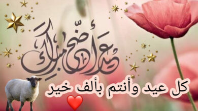 عبارات ورسائل تهنئة بعيد الأضحى 2025