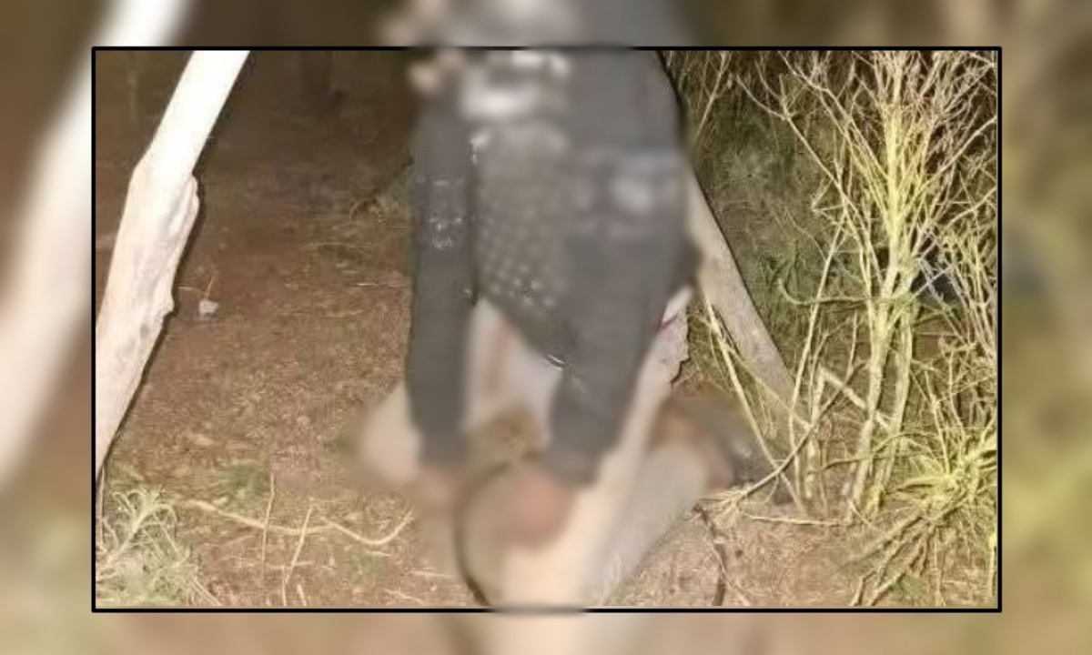 من هو محمد راعي الغنم الذي عثر عليه مشنوقًا في المغرب؟