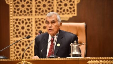 عصام الدين فريد