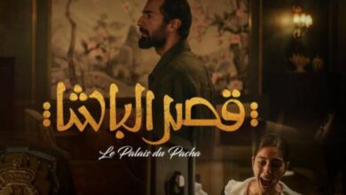 قصة فيلم قصر الباشا