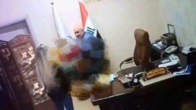 فيديو لينا رعد محسن مع علي وارد في شركة المشاريع النفطية